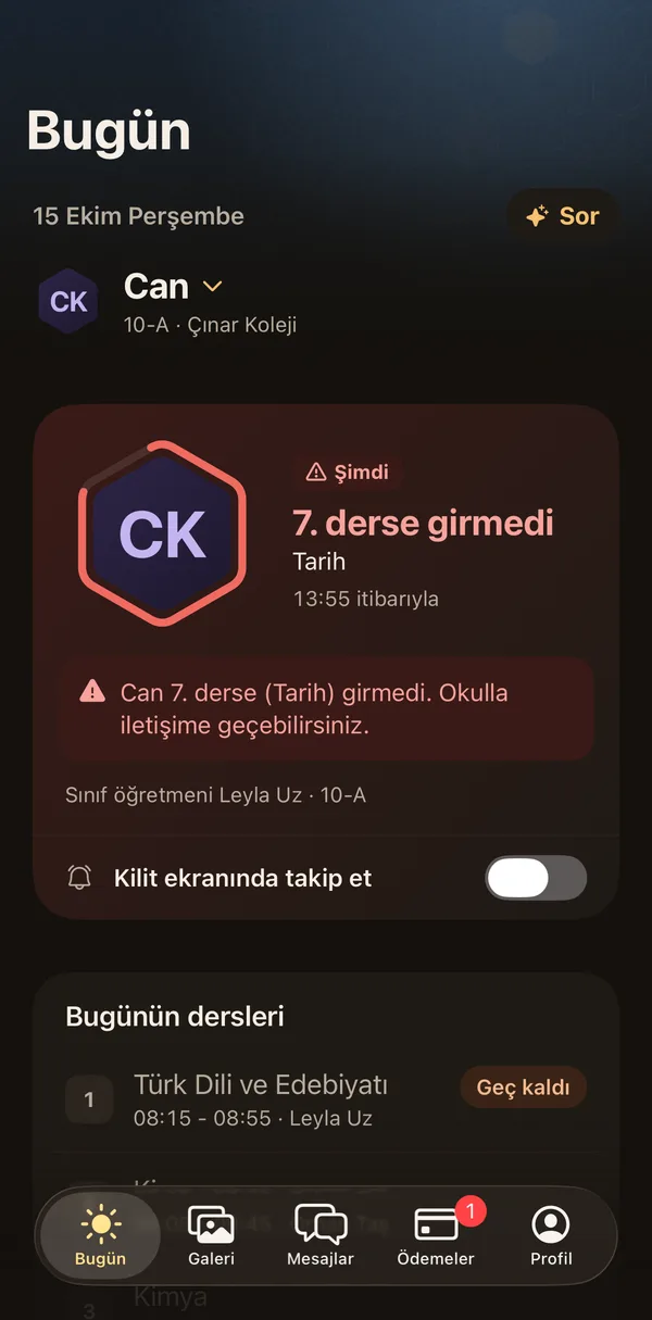 Petek Aile: Lisede: girmediği ders