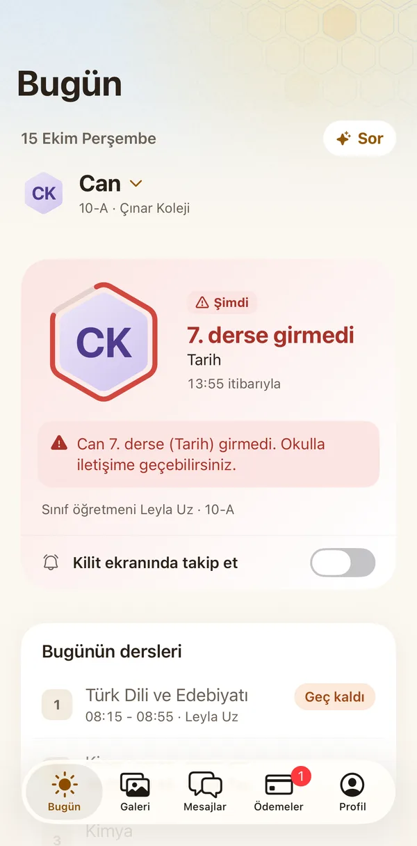 Petek Aile: Lisede: girmediği ders
