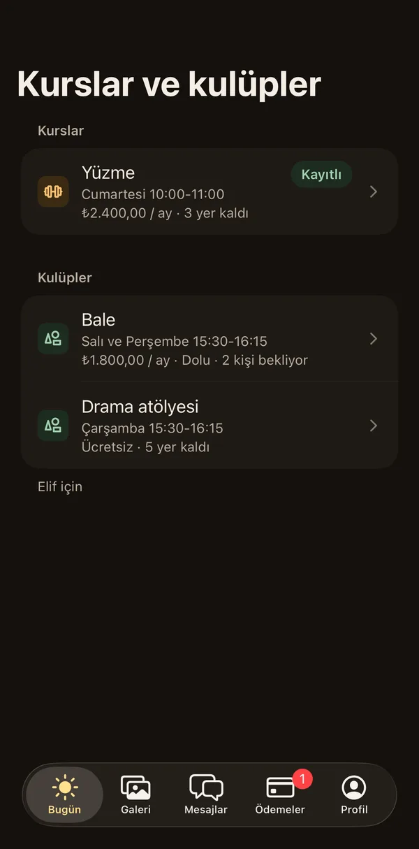 Petek Aile: Kurslar ve kulüpler