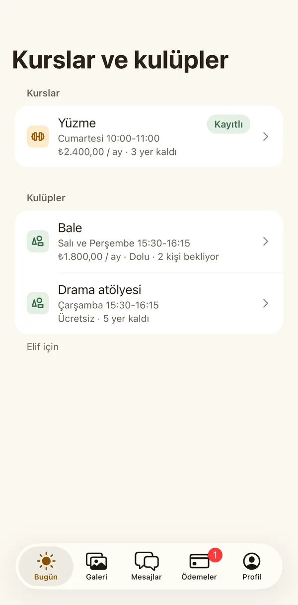 Petek Aile: Kurslar ve kulüpler