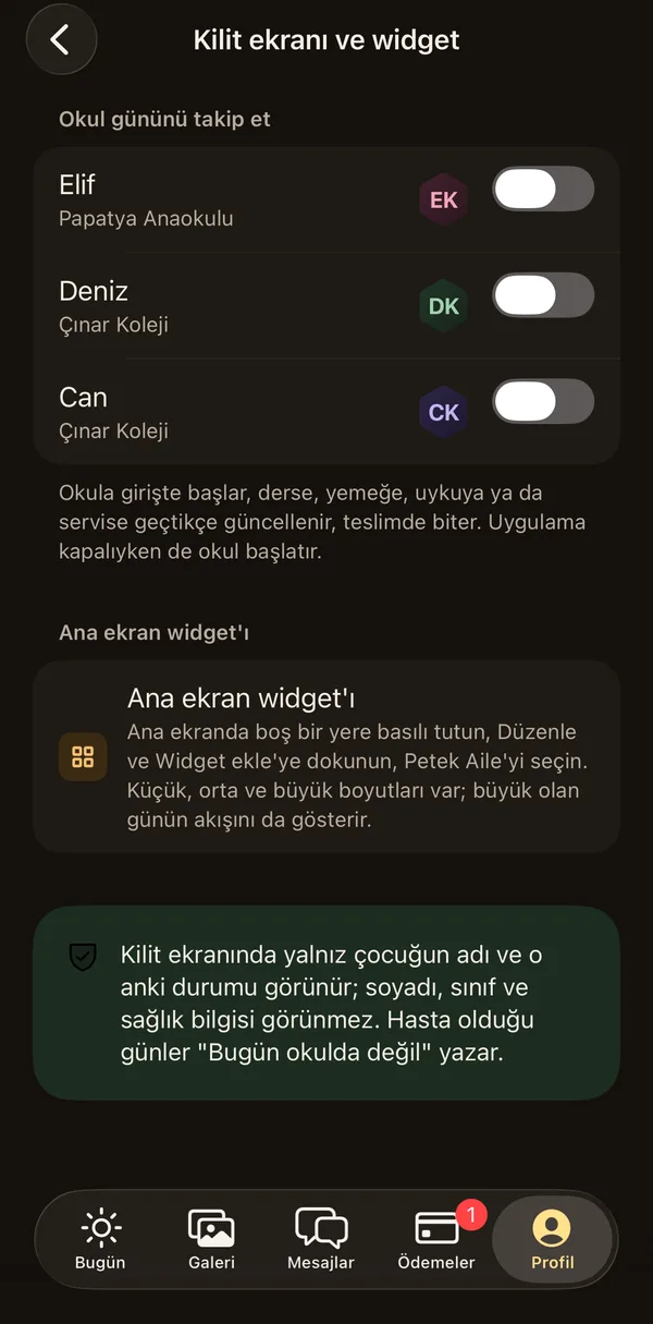 Petek Aile: Kilit ekranı ve widget ayarları