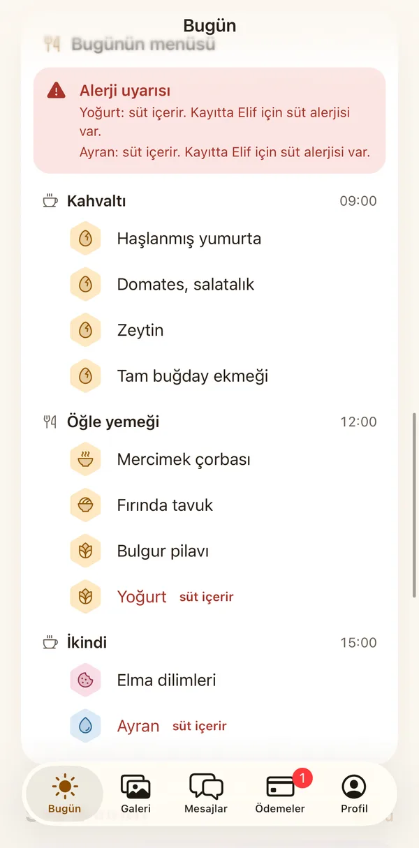 Petek Aile: Bugünün menüsü