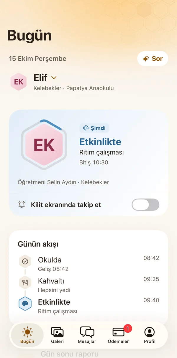 Petek Aile: Preschool: in an activity