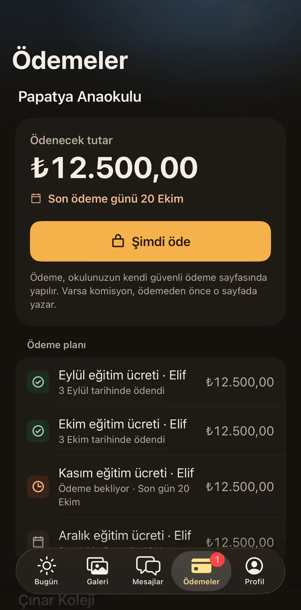 Petek Aile: Ödemeler