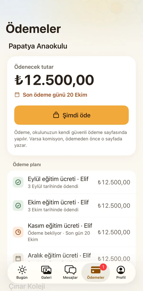 Petek Aile: Ödemeler