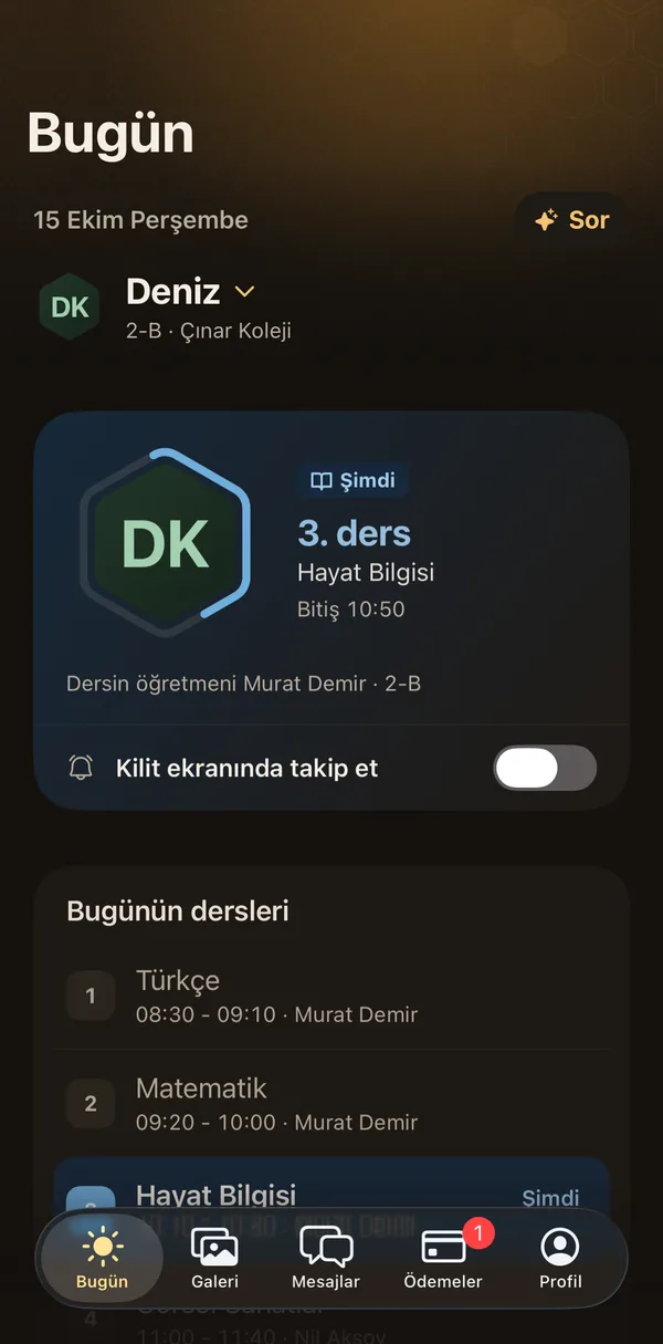 Petek Aile: Primary school: the current lesson
