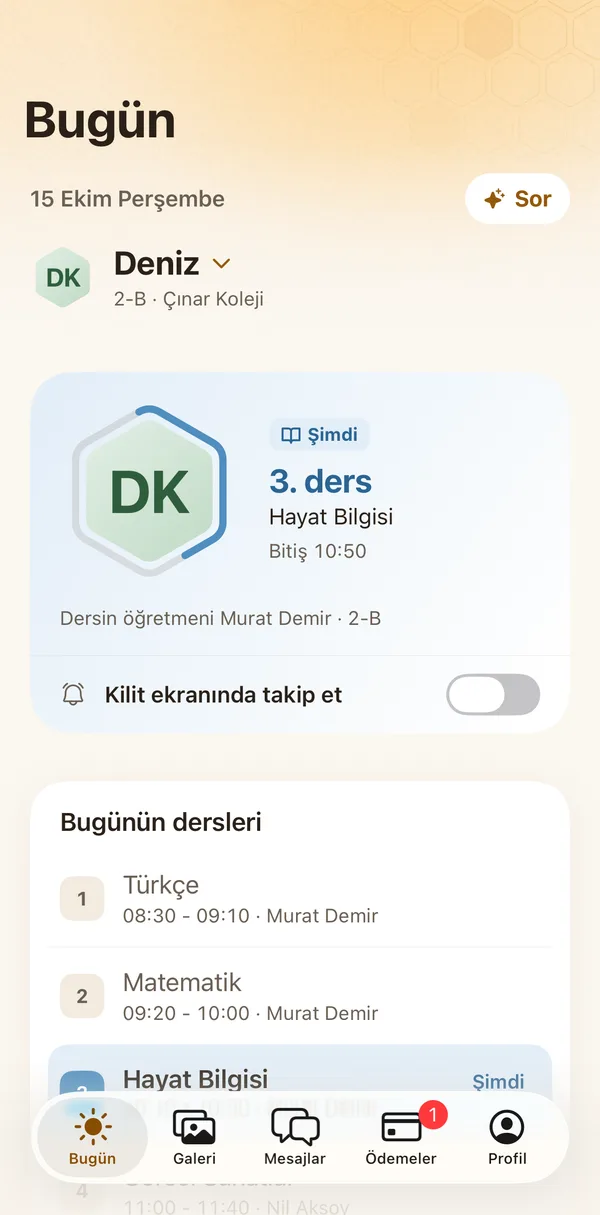 Petek Aile: Primary school: the current lesson