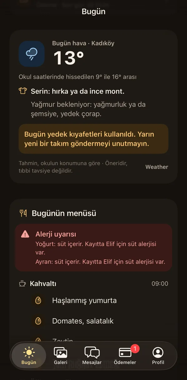 Petek Aile: Weather and clothing